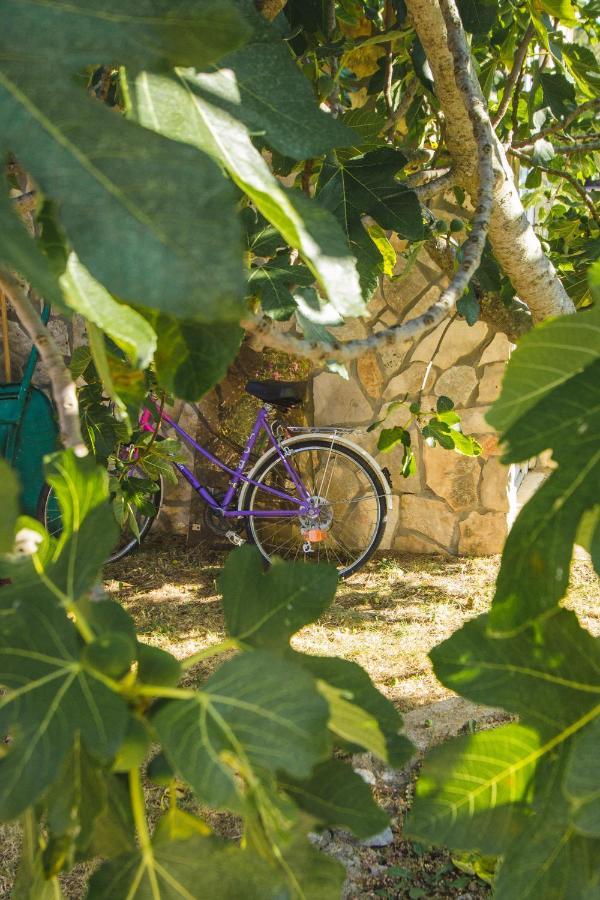 Apartmani Alic Šibenik Dış mekan fotoğraf